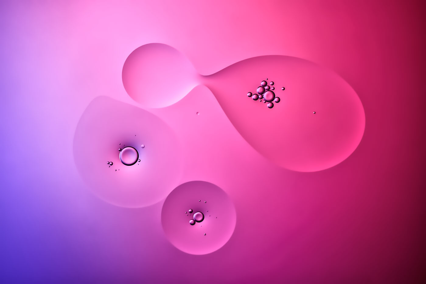 Importiertes Bild 1