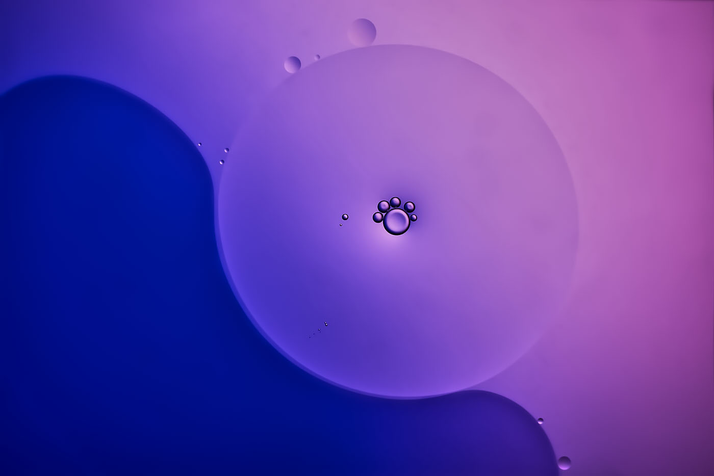 Importiertes Bild 2