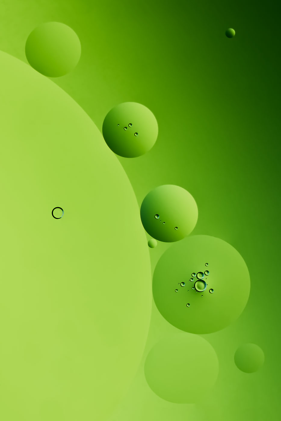 Importiertes Bild 4