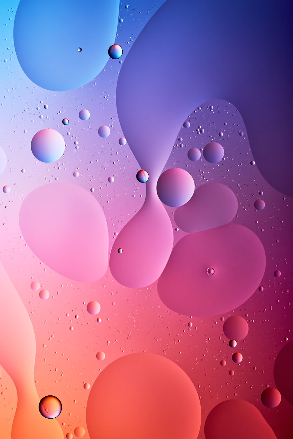 Importiertes Bild 8