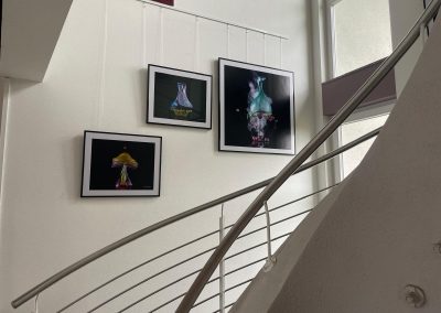 Rathaus Wittenschwand