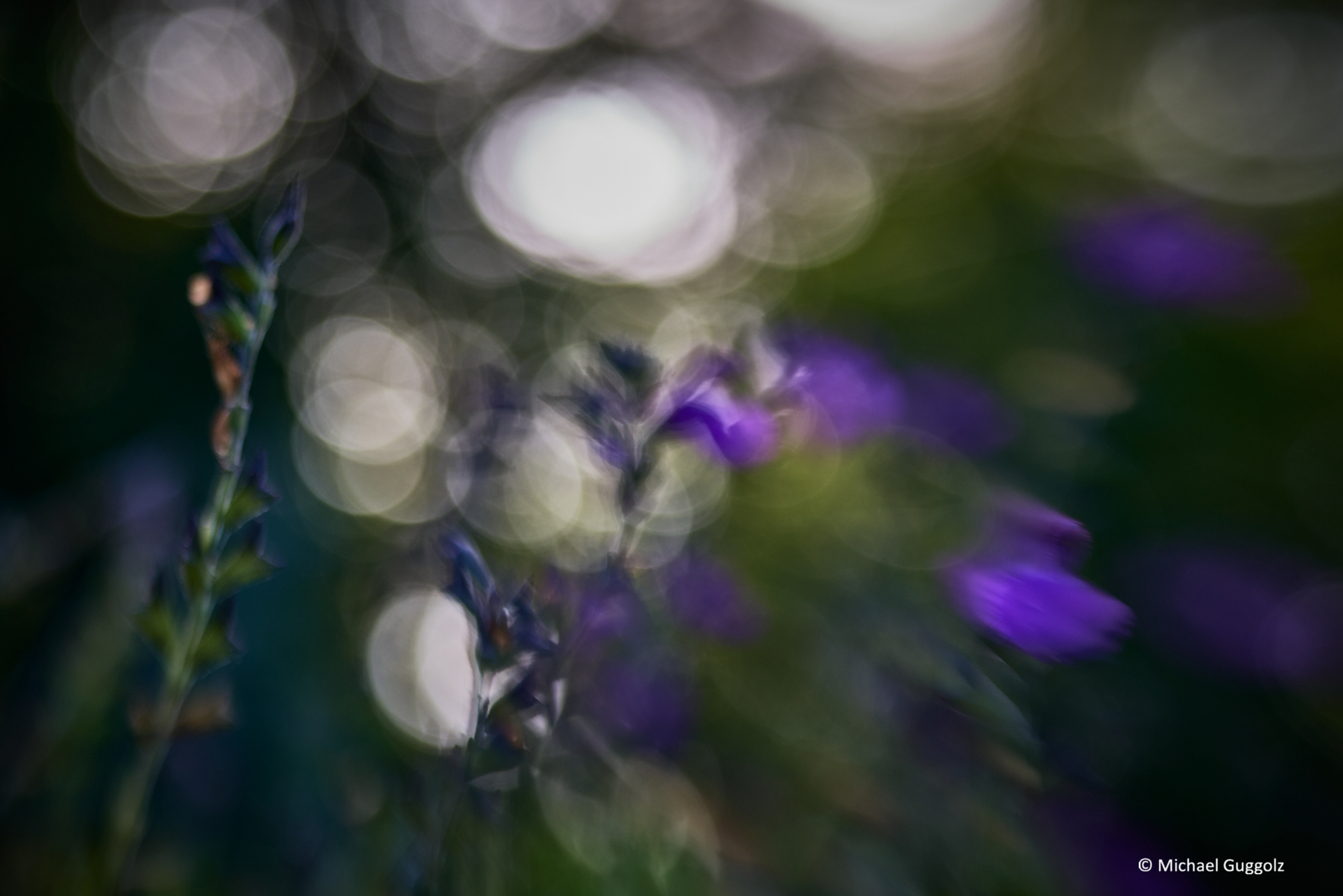 Importiertes Bild 1