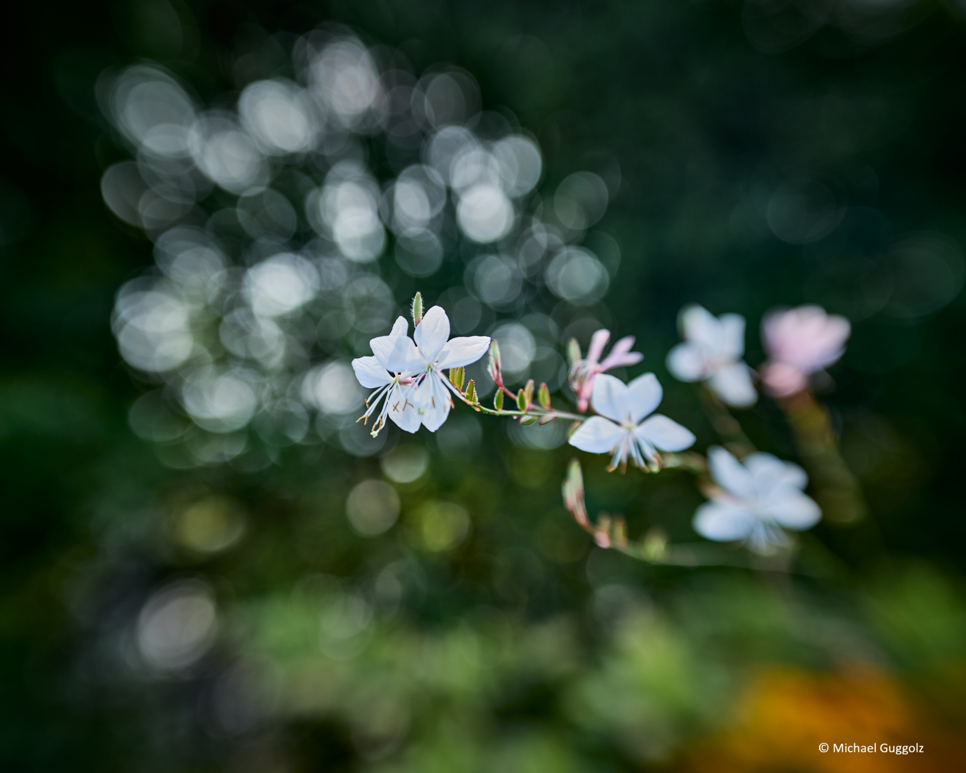 Importiertes Bild 10
