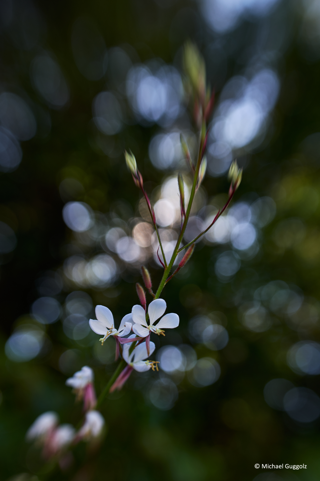 Importiertes Bild 11