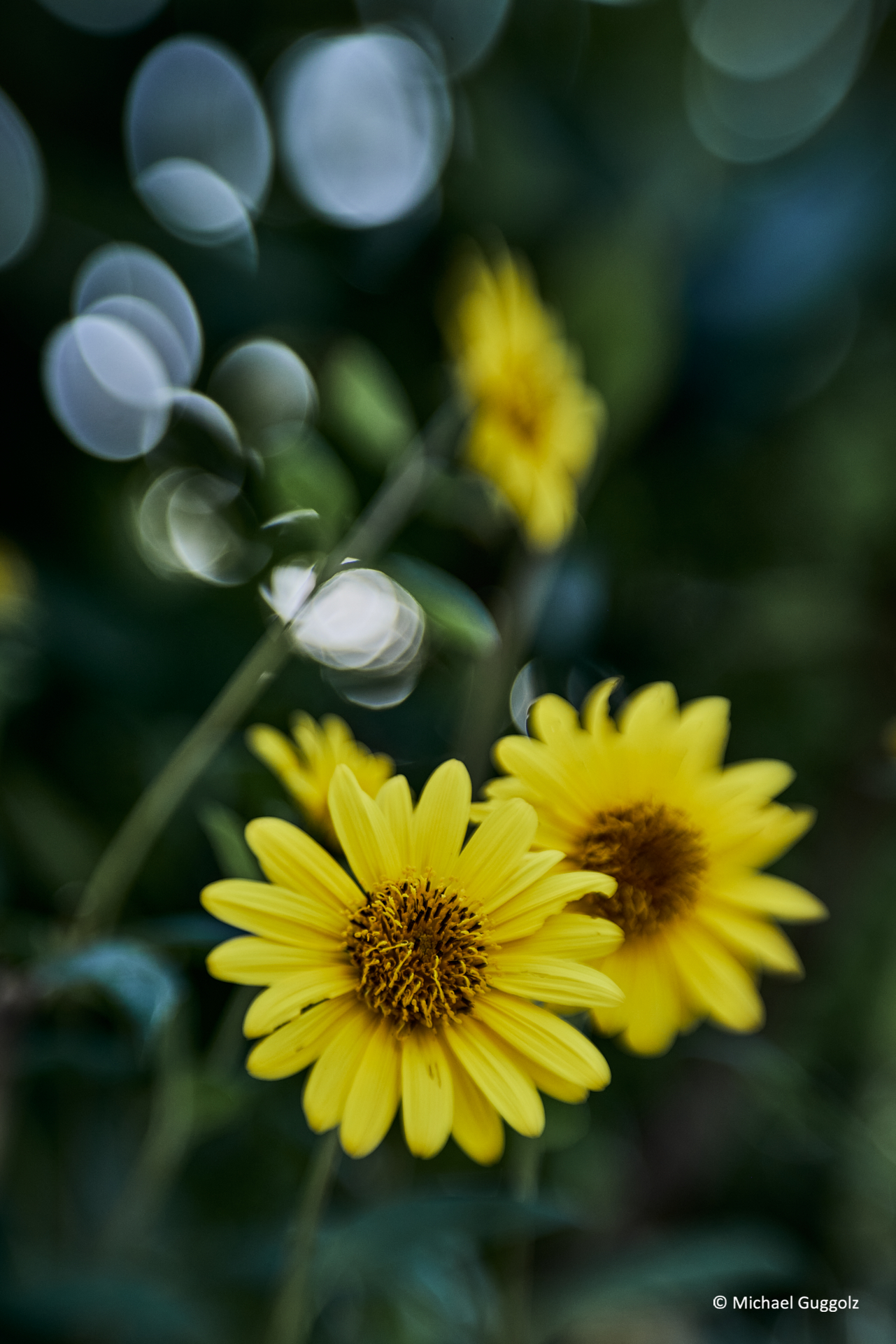 Importiertes Bild 12