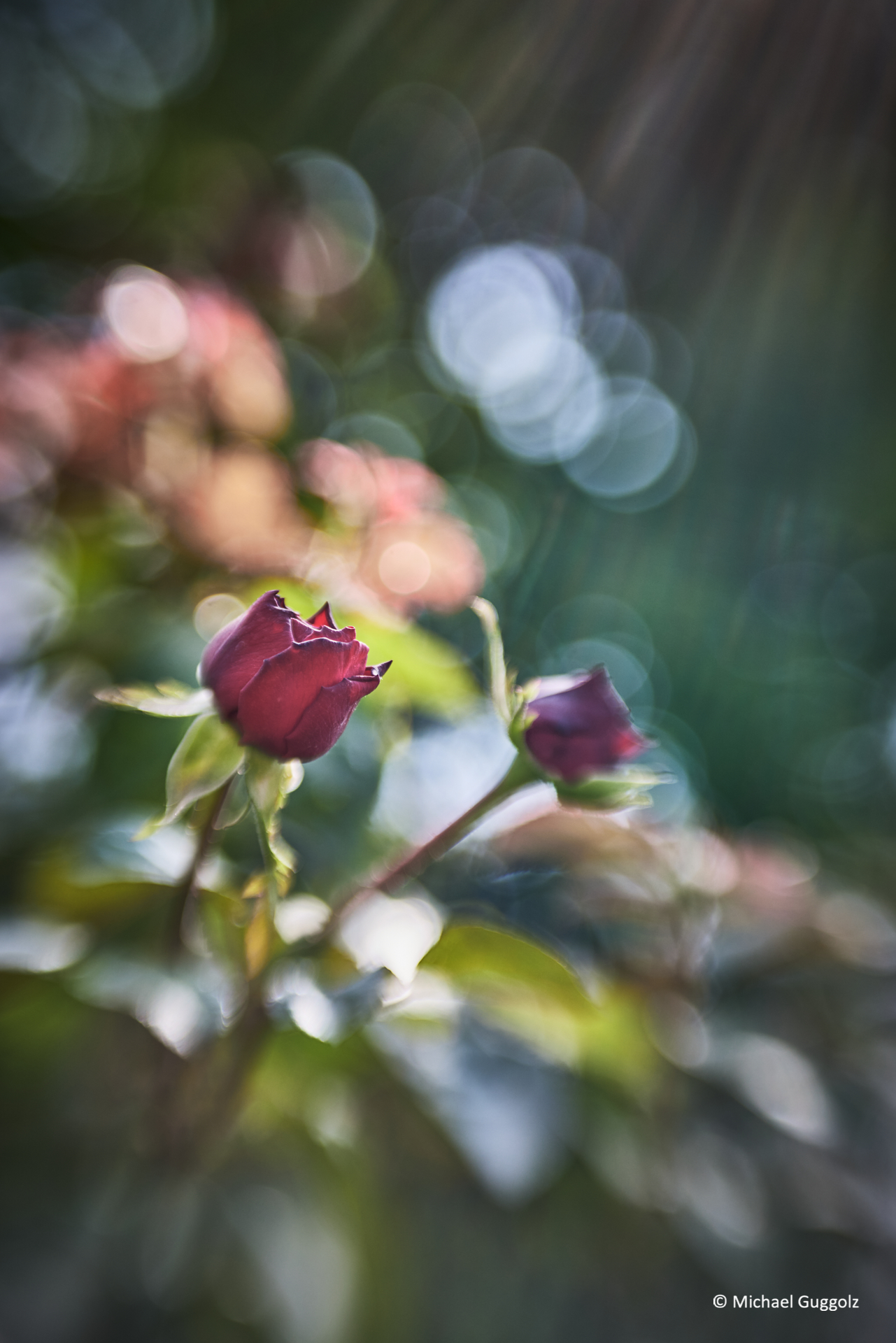 Importiertes Bild 13