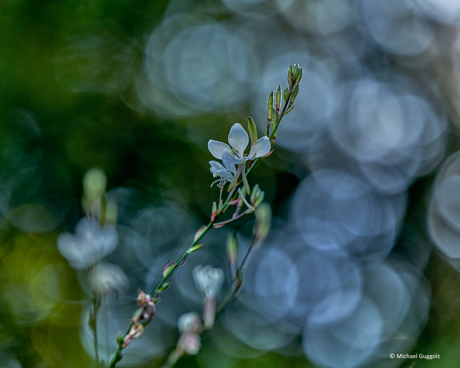 Importiertes Bild 2