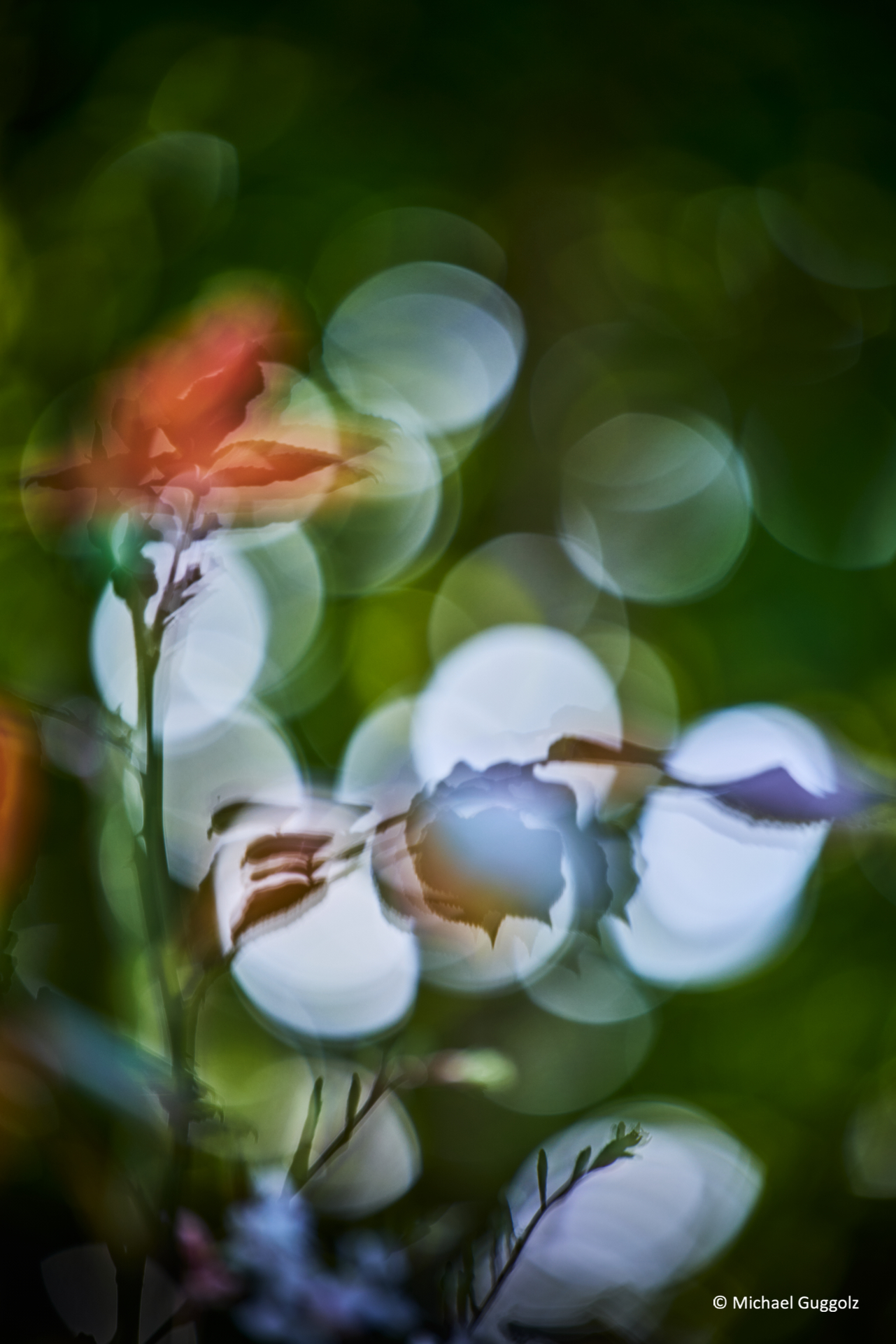 Importiertes Bild 3