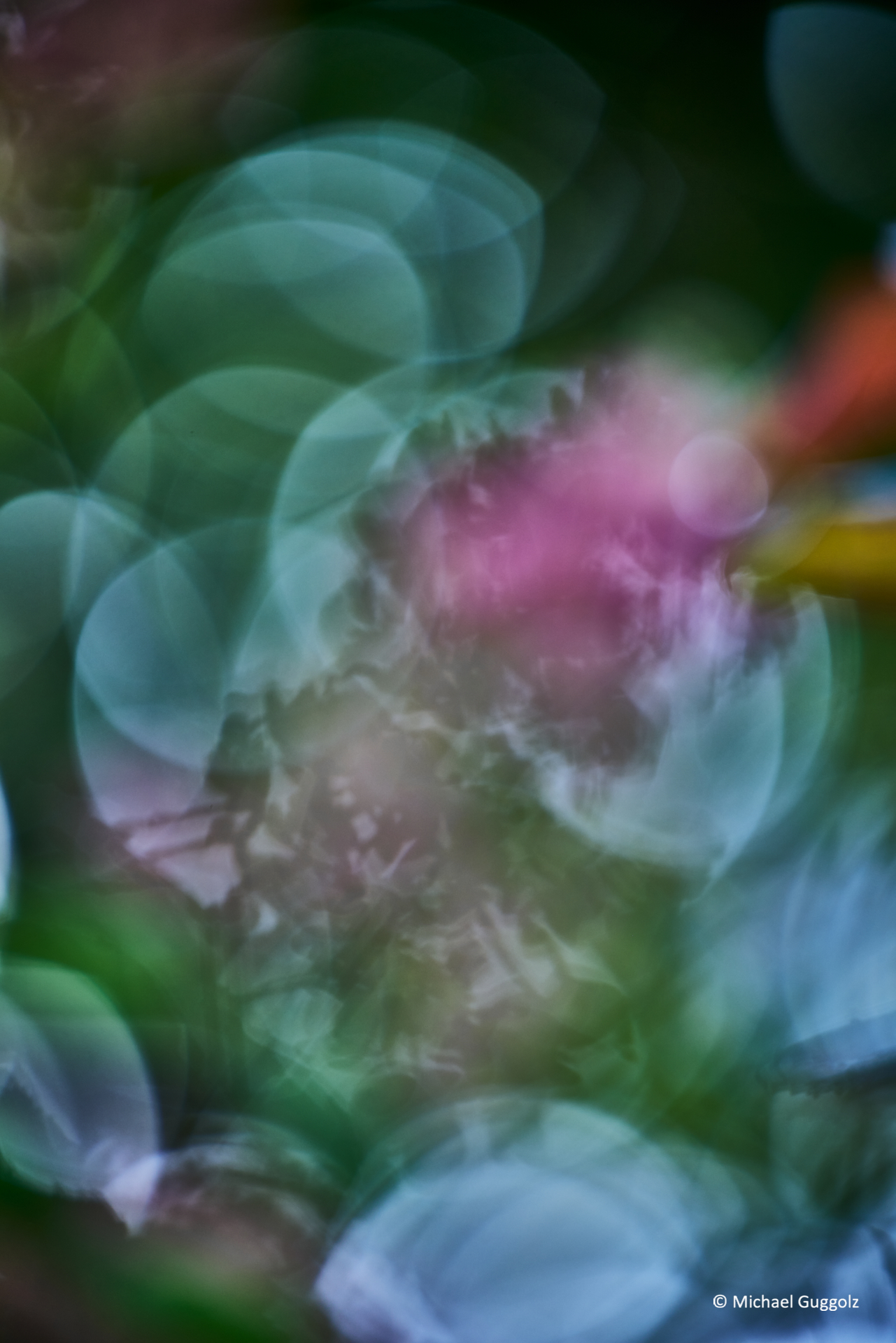 Importiertes Bild 4