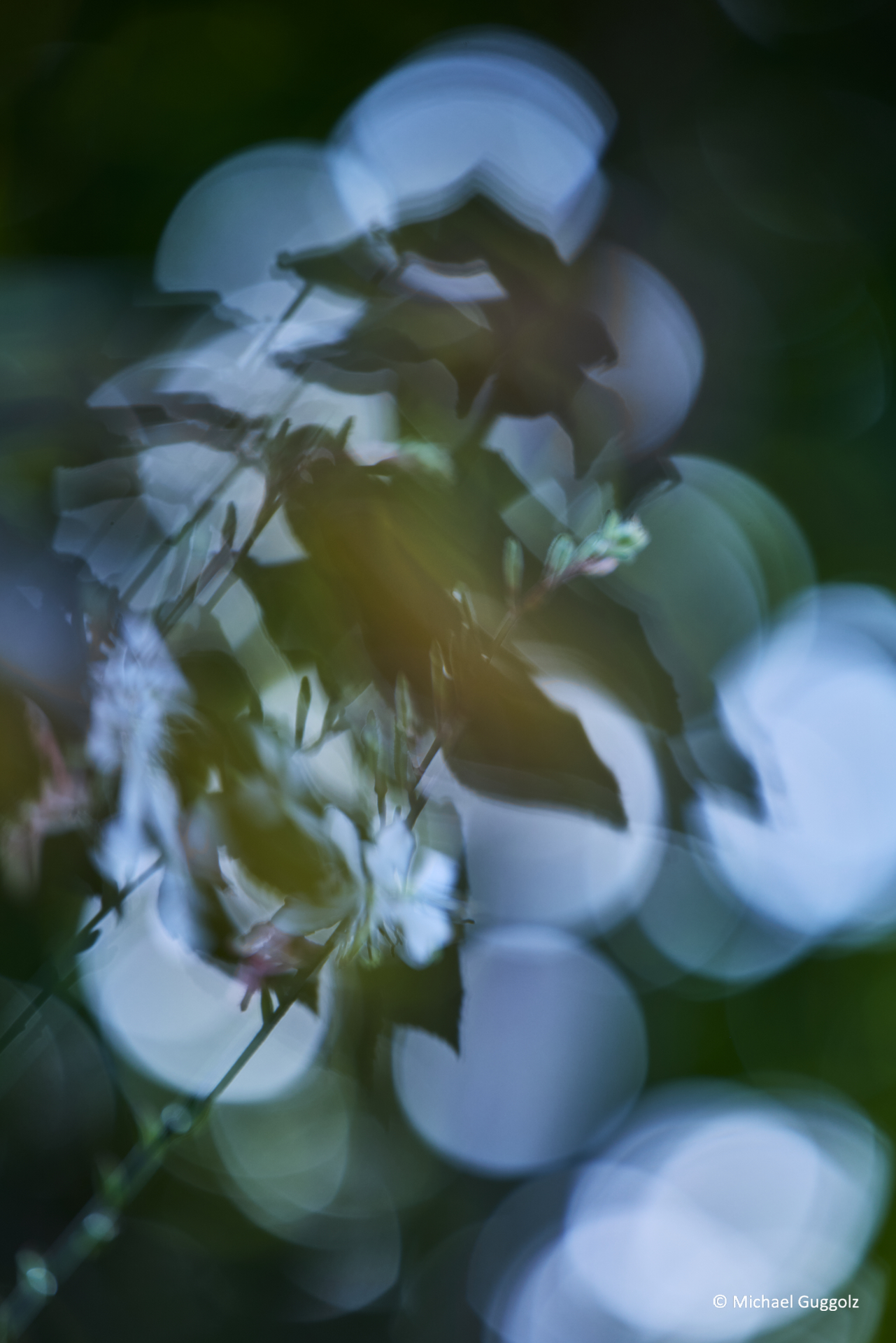 Importiertes Bild 5