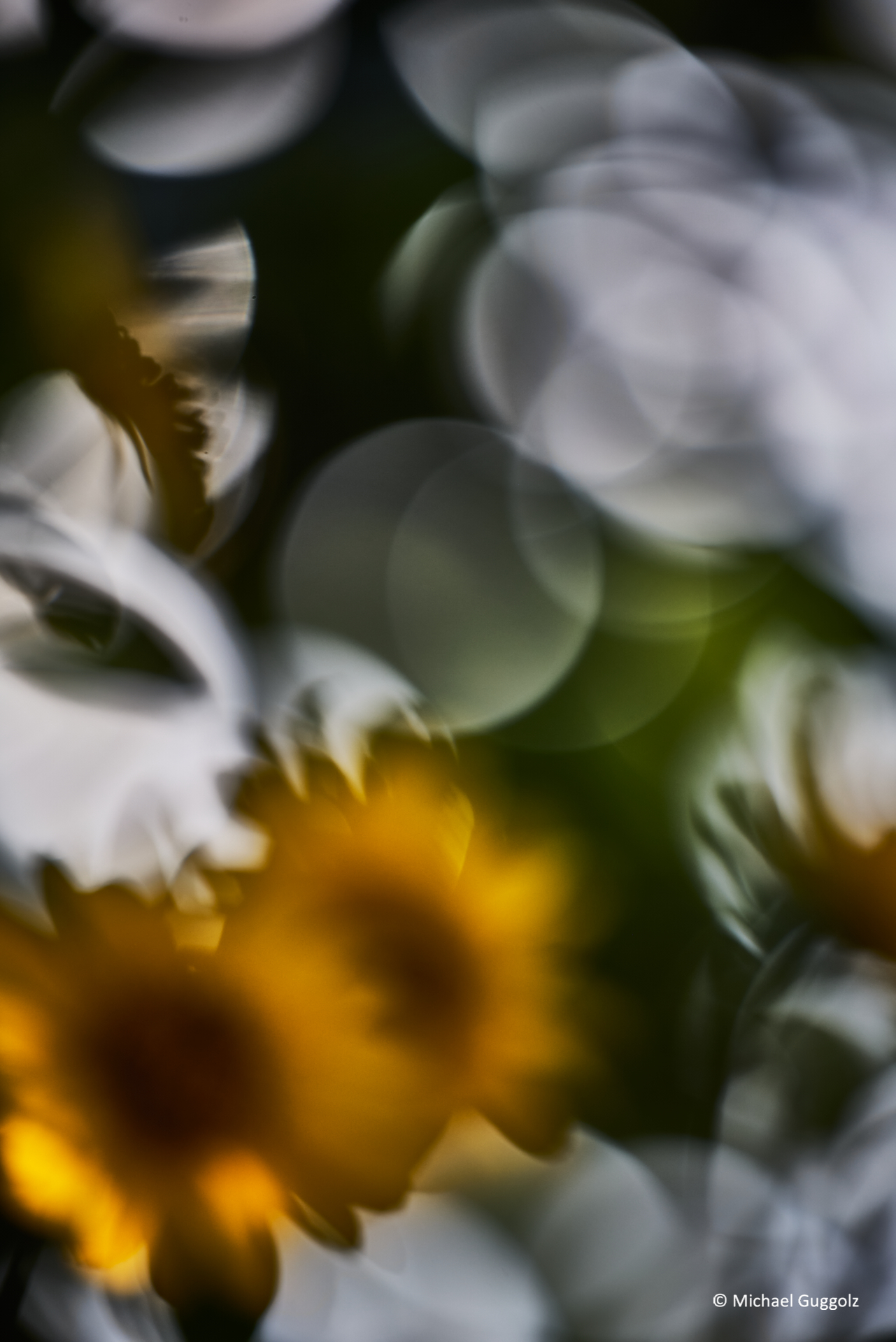 Importiertes Bild 6