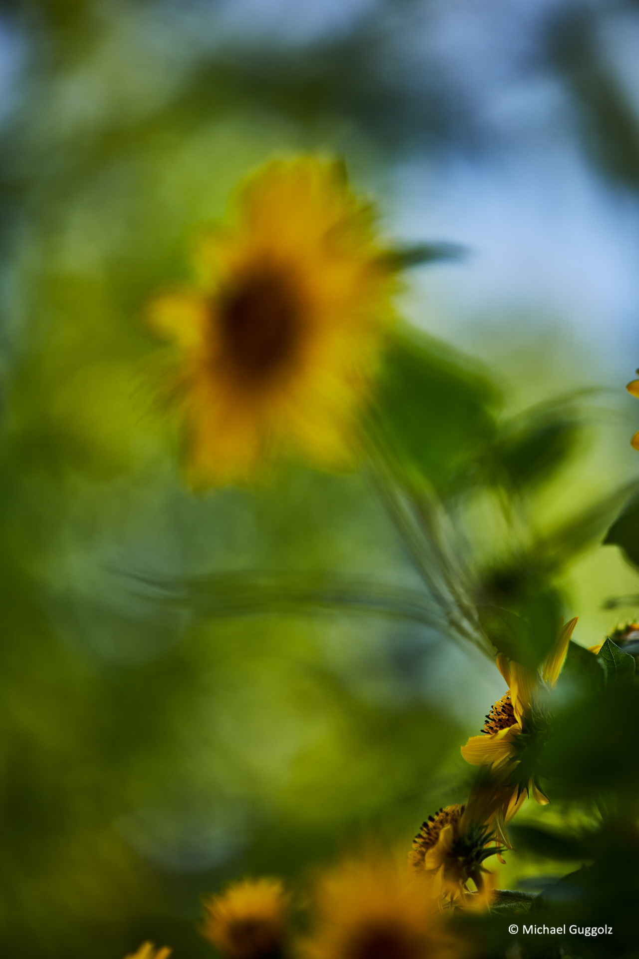 Importiertes Bild 7
