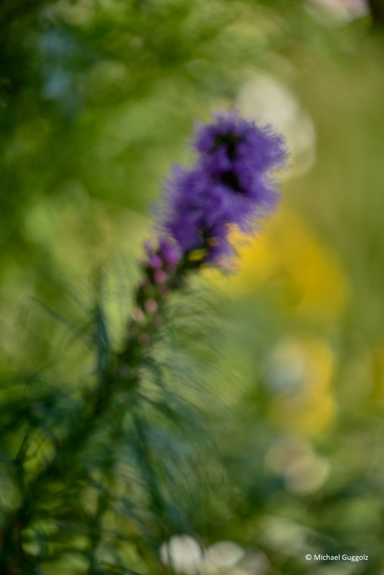 Importiertes Bild 8