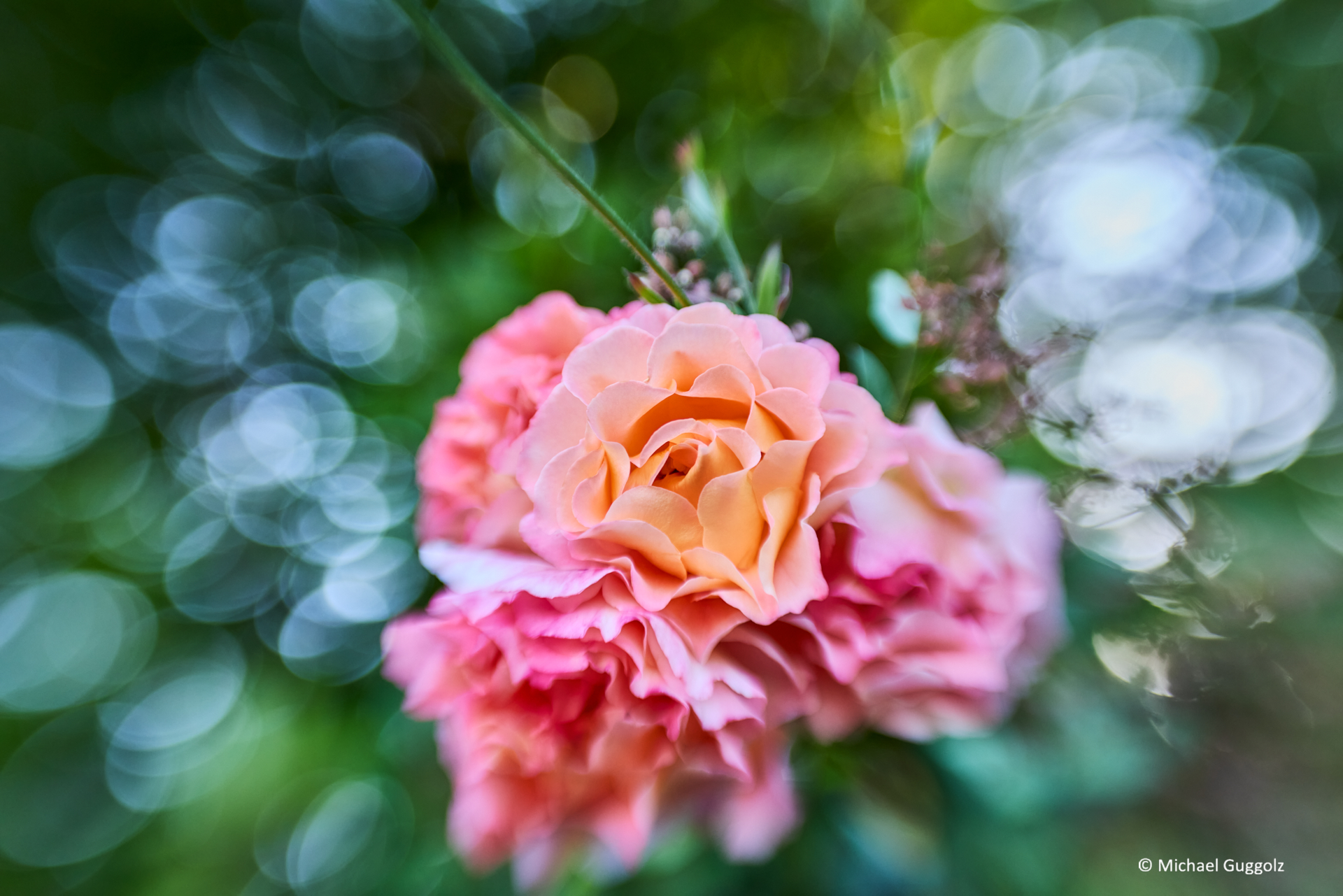 Importiertes Bild 9